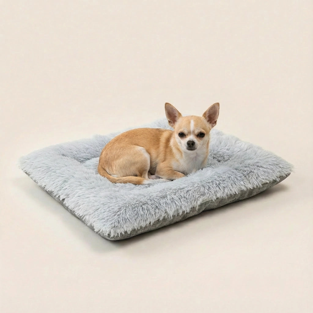 PawTools® 2-in-1 Opvouwbare Hondenmand