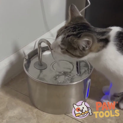 PawTools® AquaFlow - RVS Drinkfontein voor Katten